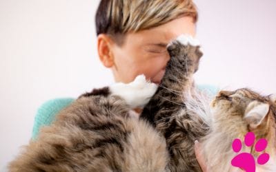 5 Astuces pour Faire de Votre Chat un Membre à Part Entière de la Famille!